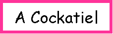 Text Box: A Cockatiel