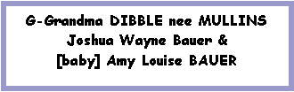 Text Box: G-Grandma DIBBLE nee MULLINS Joshua Wayne Bauer & [baby] Amy Louise BAUER
