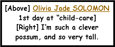 Text Box: [Above] Olivia Jade SOLOMON1st day at �child-care][Right] I�m such a clever possum, and so very tall.